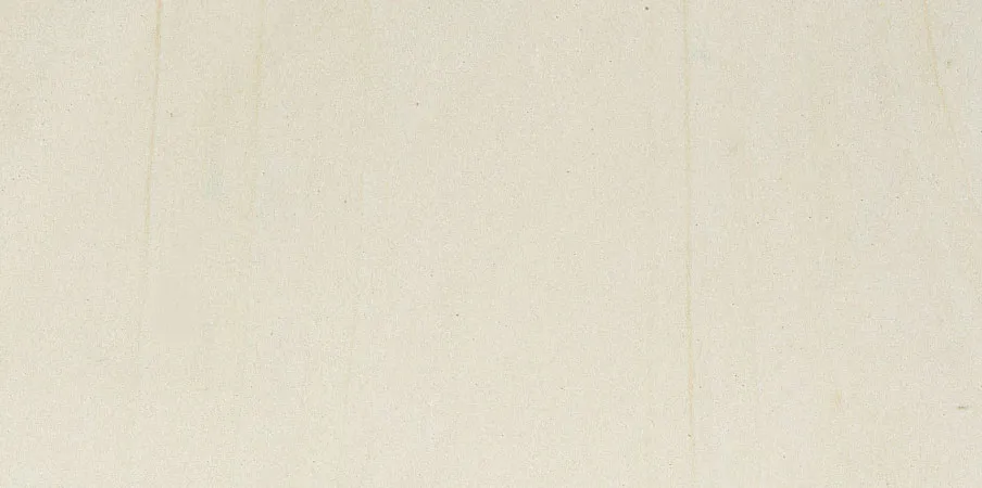 Mint Fossil